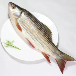 দেশি রুই মাছ (Fresh Rui Fish) – নদীর আসল স্বাদ